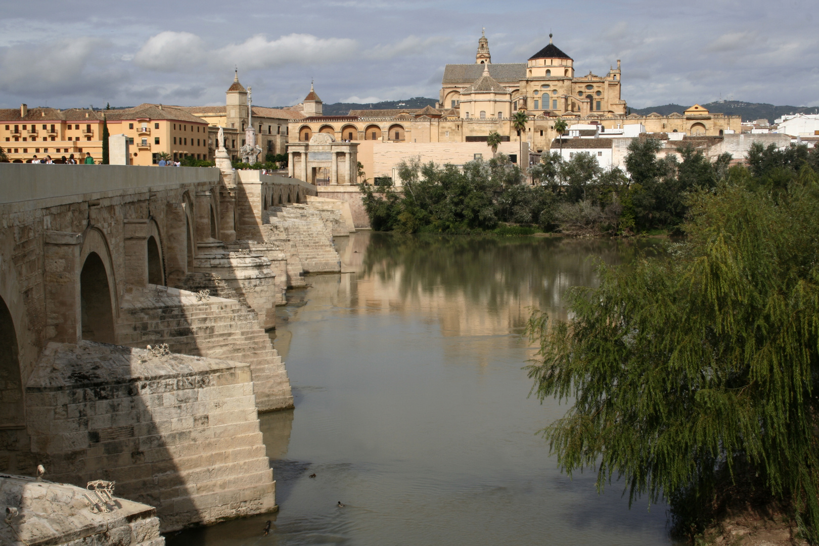 Cordoba