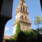 CORDOBA