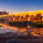 Cordoba Alte Brücke 2