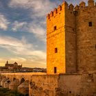 Cordoba Alte Brücke