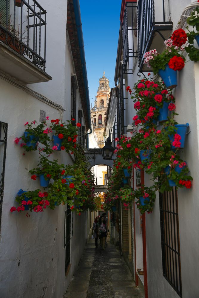 Cordoba, Blumengasse