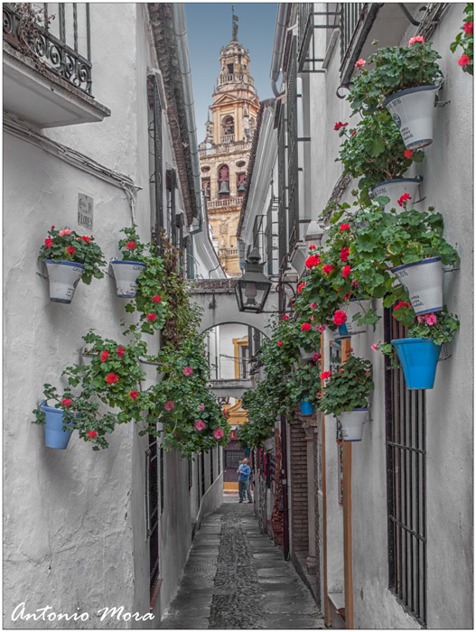 Córdoba. Calleja de las flores.