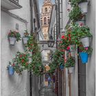 Córdoba. Calleja de las flores.