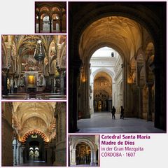 Córdoba · Catedral Santa María Madre de Dios II