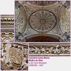 Córdoba · Catedral Santa María Madre de Dios IV