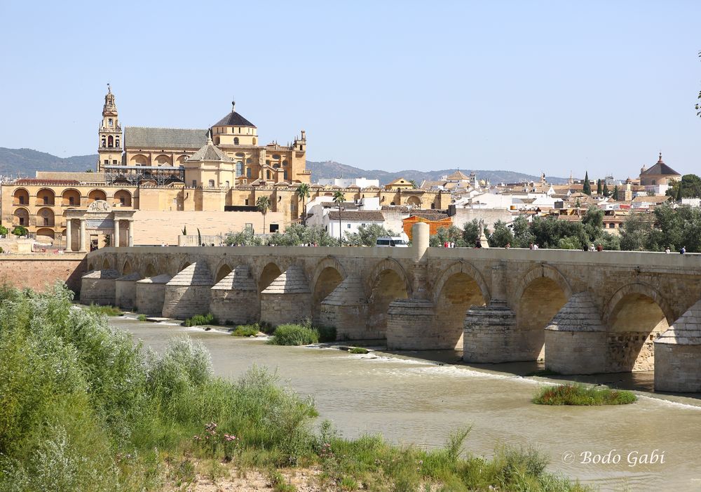 Cordoba