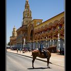 CORDOBA DE FERIA