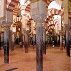 Cordoba in der Mesquita 2