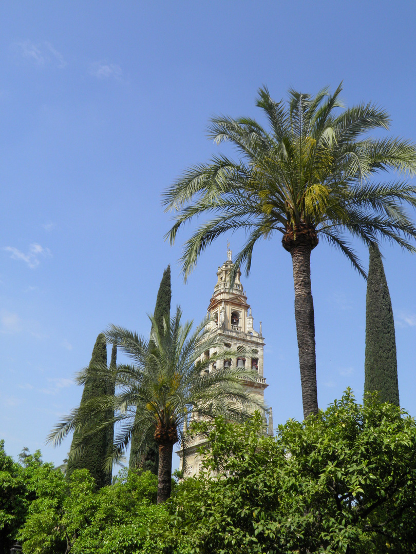 Cordoba La Mezquita