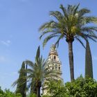 Cordoba La Mezquita