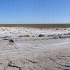 Córdoba - Lago Salinas Grandes