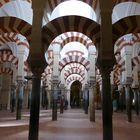 Cordoba- Mezquita