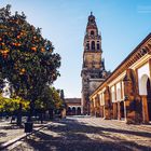 Cordoba - Mezquita / Patio de los Naranjos