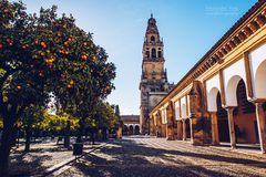 Cordoba - Mezquita / Patio de los Naranjos