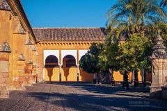 Córdoba - Mezquita / Patio de los Naranjos