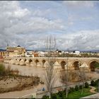 Cordoba - Puente Romano