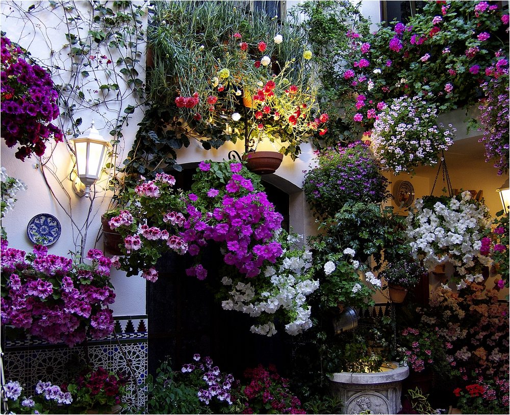 Cordoba´s patios III