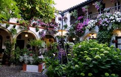 Cordoba´s patios IV