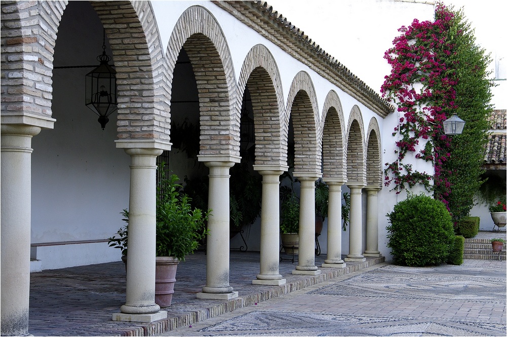 Cordoba´s patios X