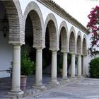 Cordoba´s patios X