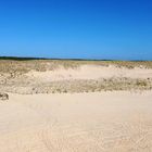 Cordon dunaire et accès à la plage Lespecier