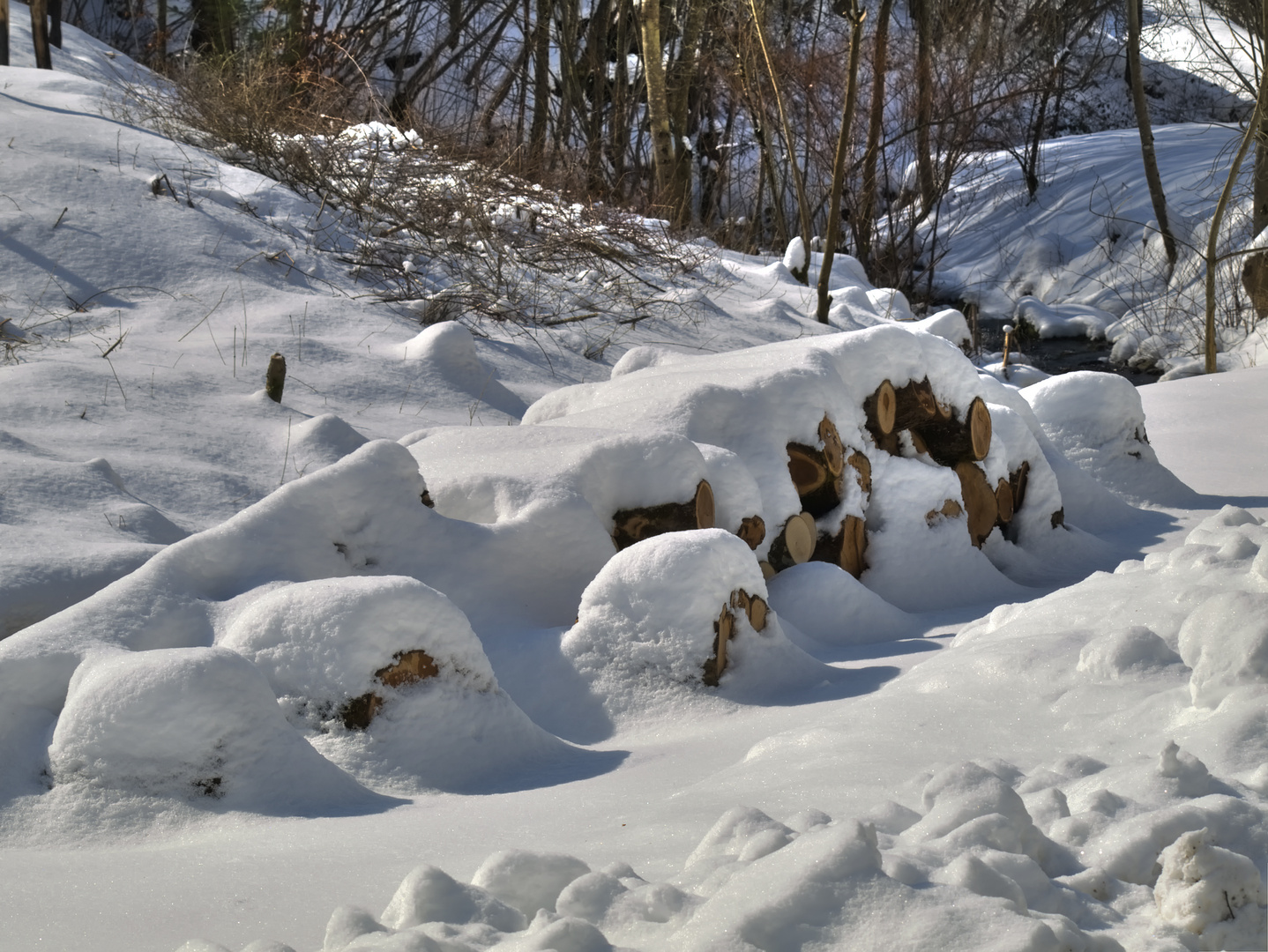 cordwood - Klafterholz