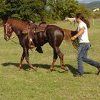 CORFU-HORSES-3