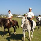 CORFU-HORSES-6