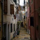 Corfu in the Rain 2