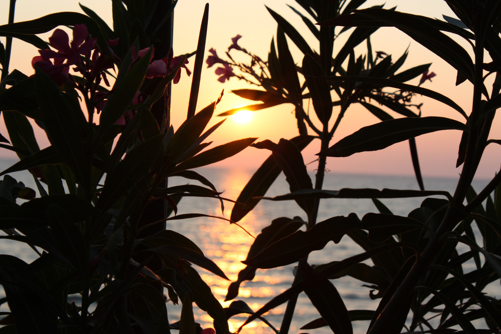 Corfu Strand