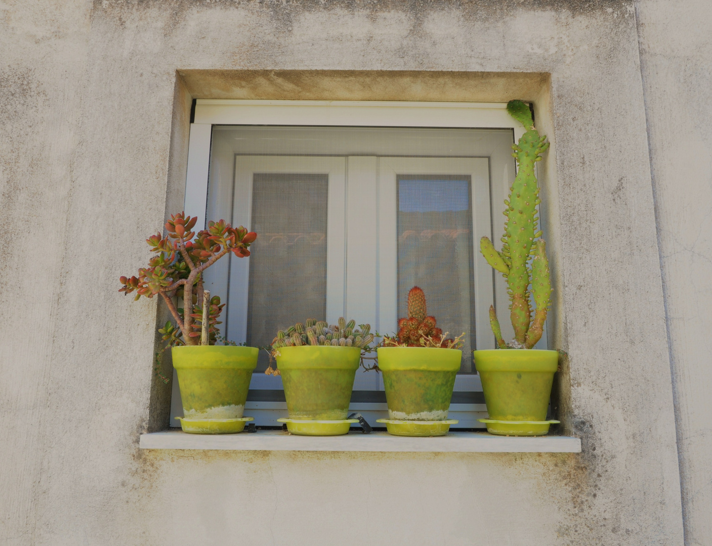 corfu window