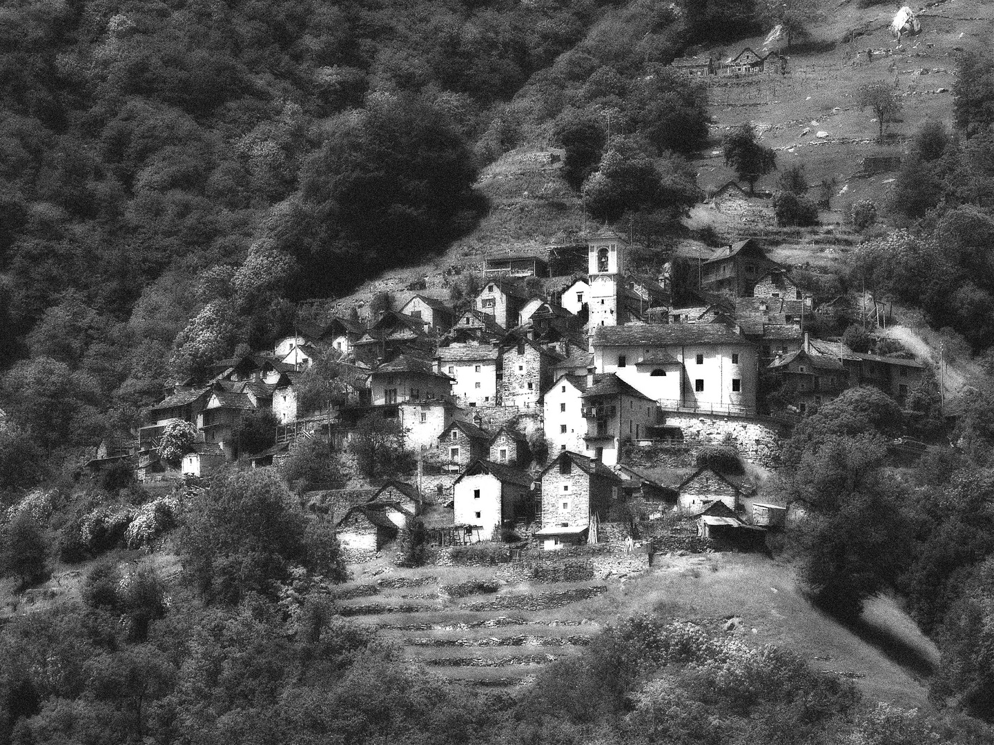 Corippo