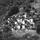 Corippo