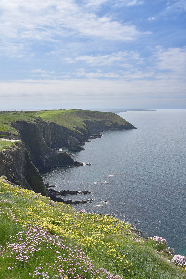 Cork coastal route