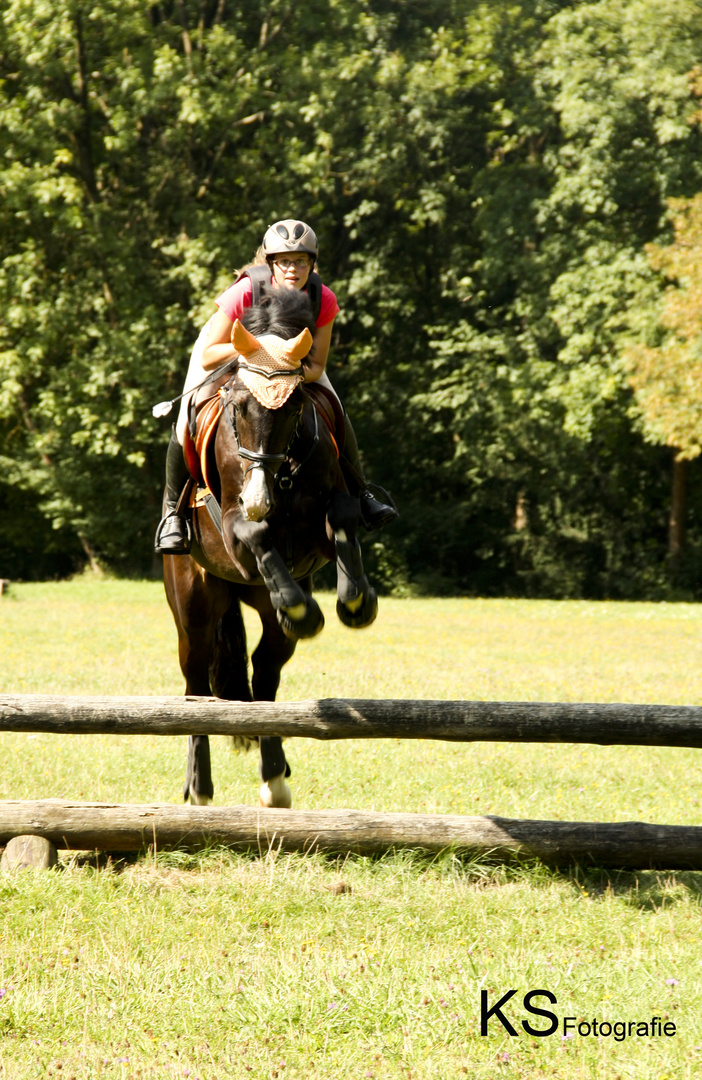 Corleone (Bayrisches Warmblut) beim Vielseitigkeitstraining im Englischen Garten