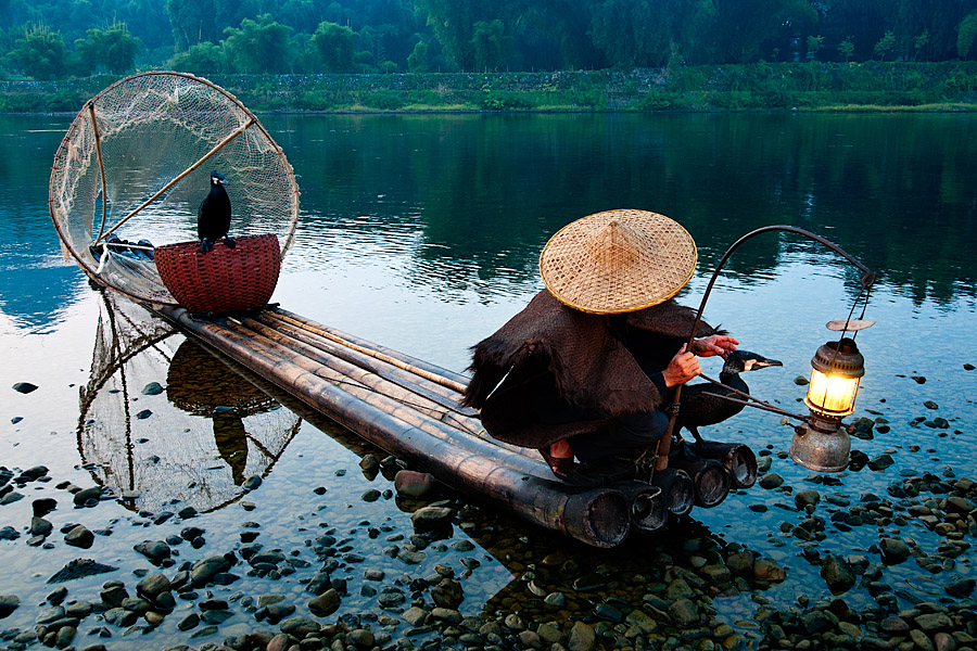 Cormorant fisherman at dawn