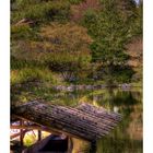 Corner of a Japanese garden