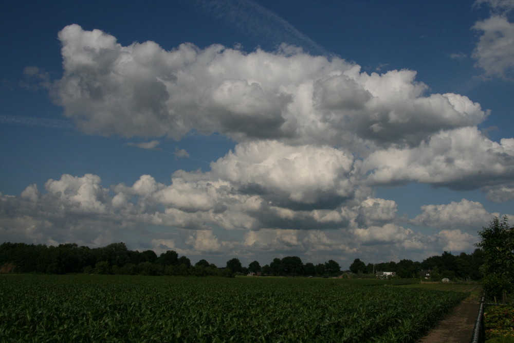 cornfield around the corner.