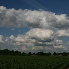 cornfield around the corner.