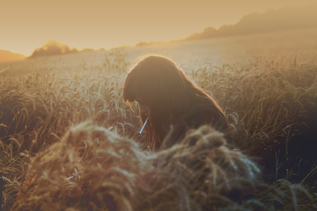 Cornfields