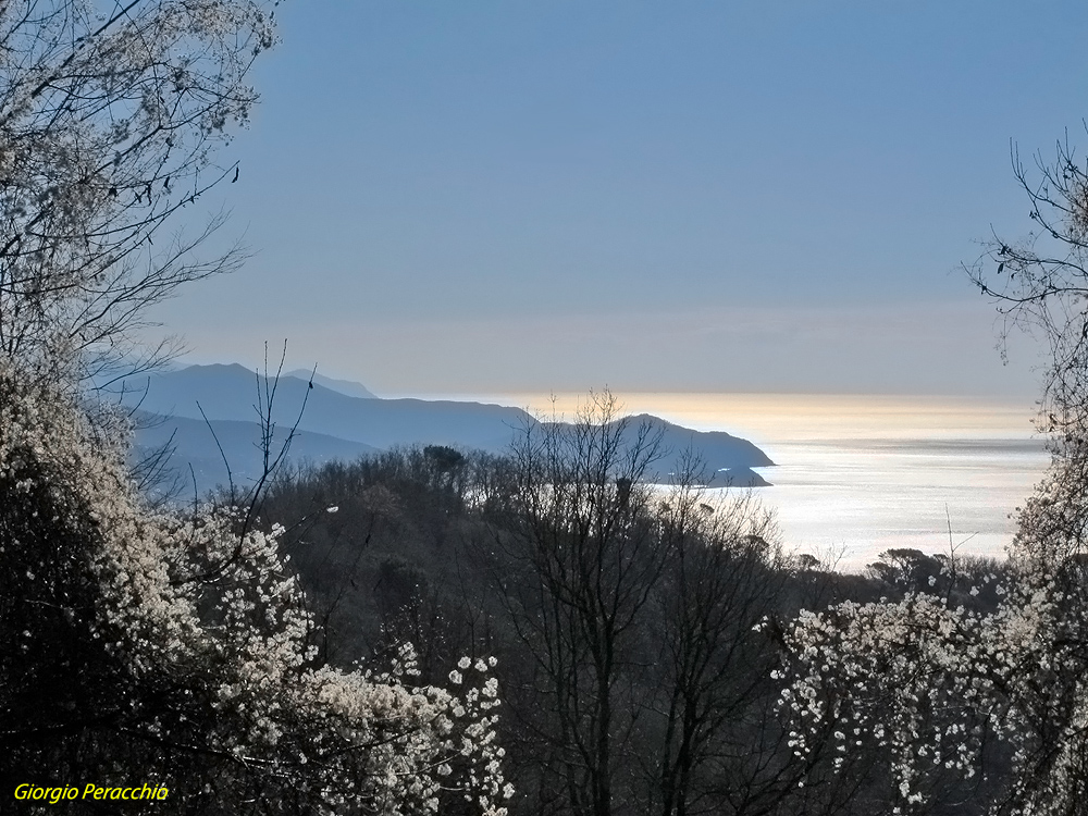 Cornice sul Levante