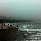 Corniche de Casablanca sous la brume