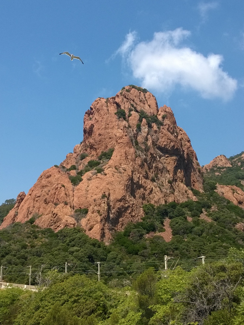 Corniche de l'Esterel