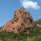 Corniche de l'Esterel