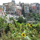 Corniglia