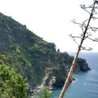 Corniglia.