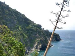 Corniglia.