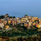 Corniglia a colori