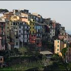 Corniglia am Morgen