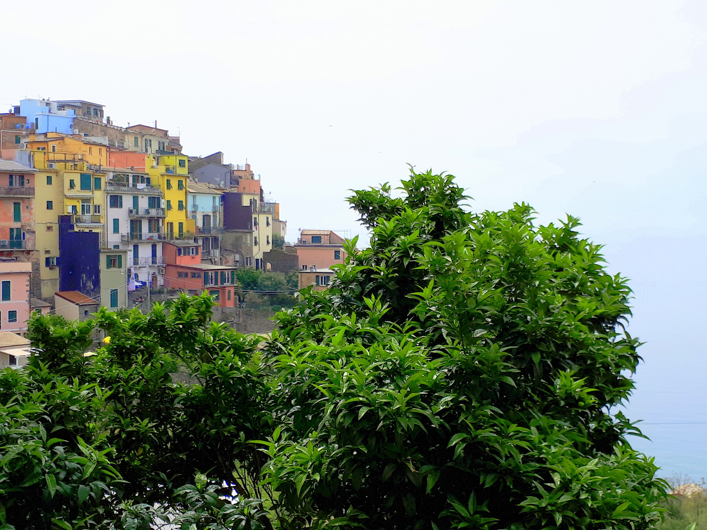 Corniglia, Italy